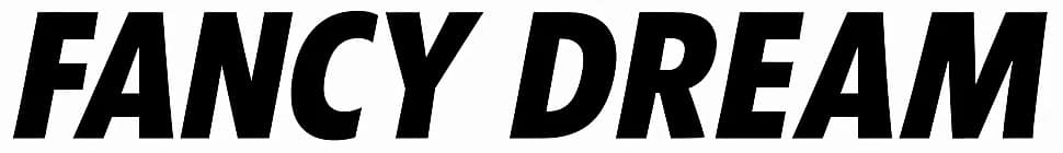Fancy Dream USA INC